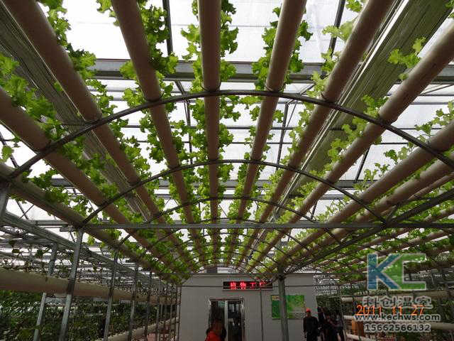 無土栽培，無土栽培技術，無土栽培設備