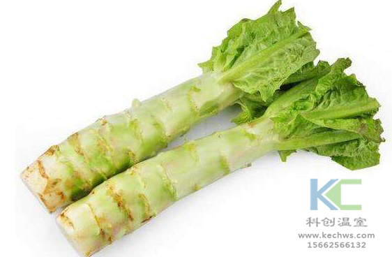 無土栽培，無土栽培技術(shù)，無土栽培設(shè)備