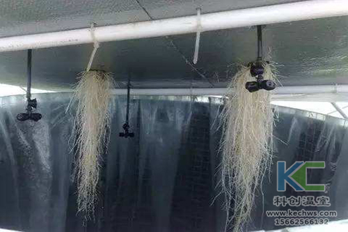 無土栽培，無土栽培技術，無土栽培設備