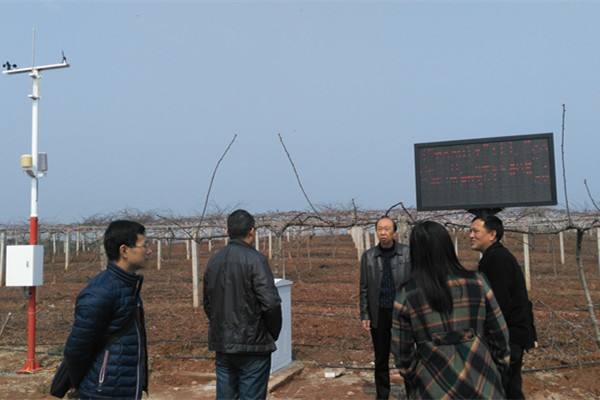 無土栽培，無土栽培技術(shù)，無土栽培設(shè)備