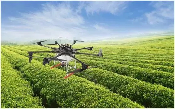 無土栽培，無土栽培技術(shù)，無土栽培設(shè)備