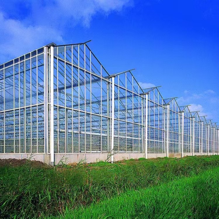 無土栽培，無土栽培技術(shù)，無土栽培設(shè)備