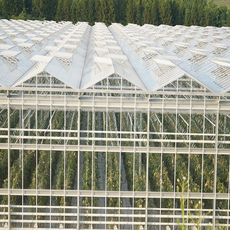 無土栽培，無土栽培技術(shù)，無土栽培設(shè)備