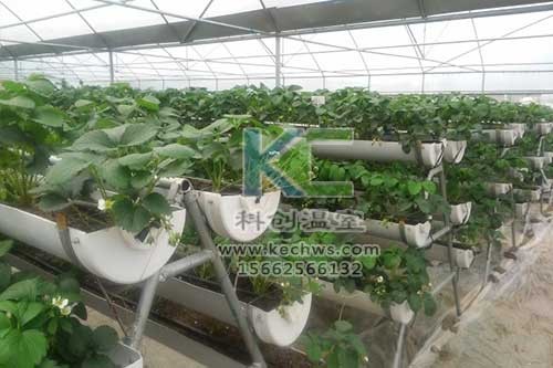 無(wú)土栽培，無(wú)土栽培技術(shù)，無(wú)土栽培設(shè)備