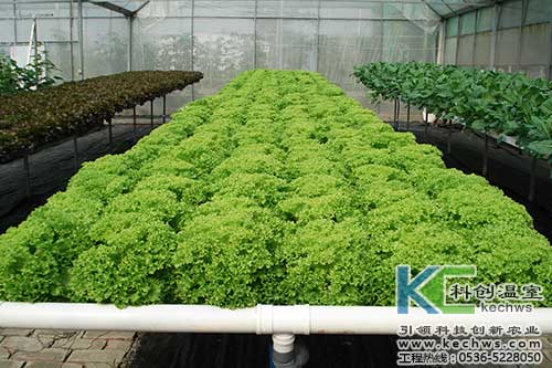 無土栽培，無土栽培技術(shù)，無土栽培設(shè)備