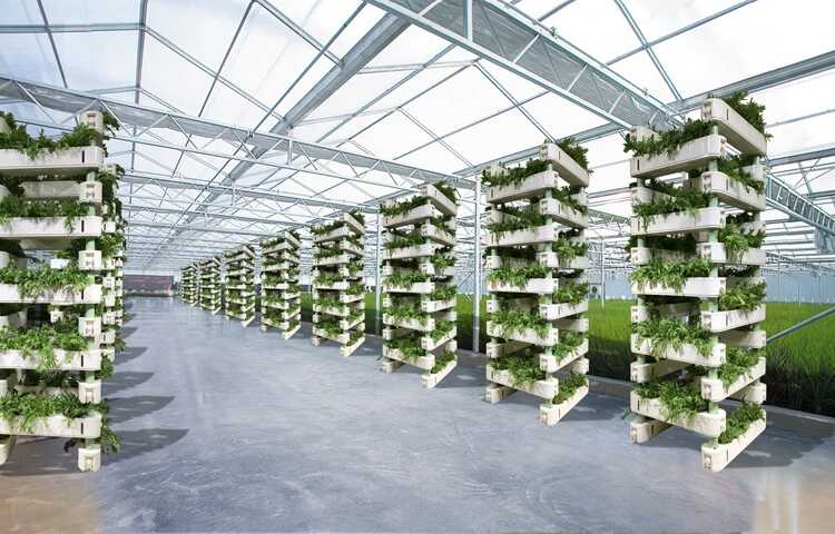 無土栽培，無土栽培技術(shù)，無土栽培設(shè)備