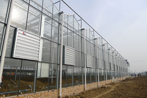 無土栽培，無土栽培技術，無土栽培設備