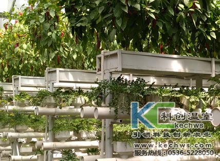 無土栽培，無土栽培技術，無土栽培設備