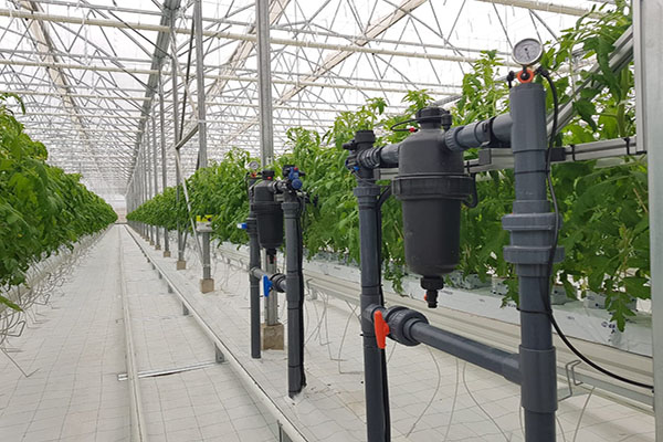 無土栽培，無土栽培技術，無土栽培設備